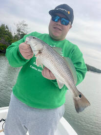 Punta Gorda Report Photo 1