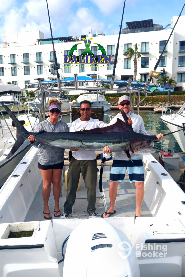 San Jose del Cabo Report Photo 0