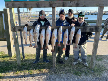 Aransas Pass Report Photo 2