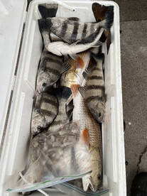 Aransas Pass Report Photo 1