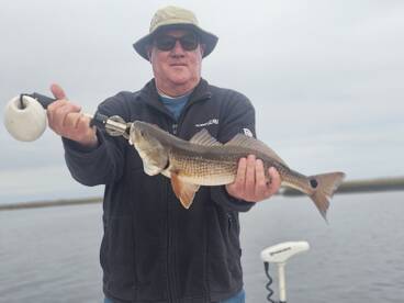 Reds are biting.