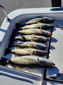 Winter time fishing is still in full swi