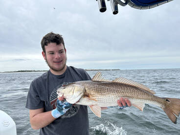 Panama City Beach Report Photo 1