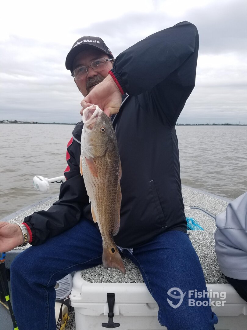 Galveston Report Photo 0