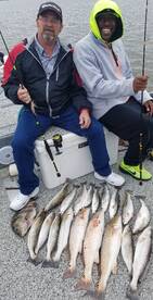 Galveston Report Photo 2