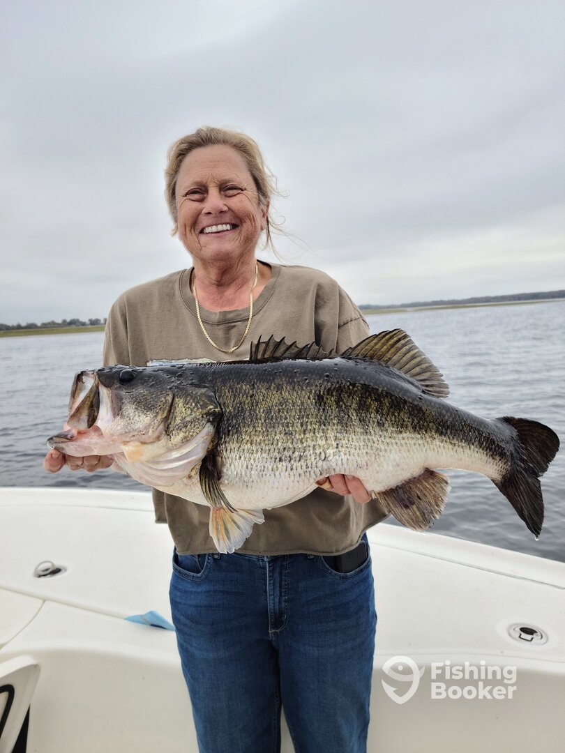 Kissimmee Report Photo 0