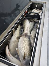 Lakeside Marblehead Report Photo 2
