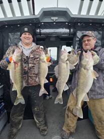 SHORT WINDOW!! INSANE ACTION!!