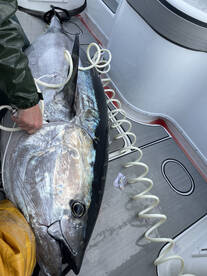 Morehead City Report Photo 1
