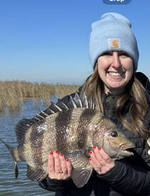 Venice Report Photo 1