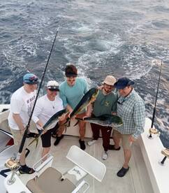 Cabo San Lucas Report Photo 2