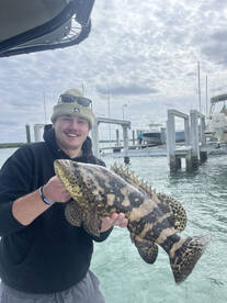 Nice goliath grouper today 