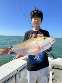 Coral Gables Report Photo 2