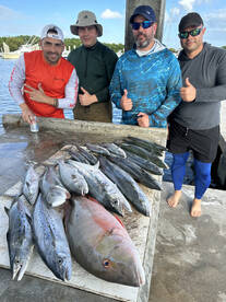 Coral Gables Report Photo 4