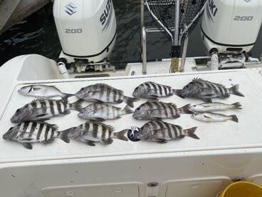 Fun Inshore trip !