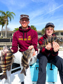 New Port Richey Report Photo 2