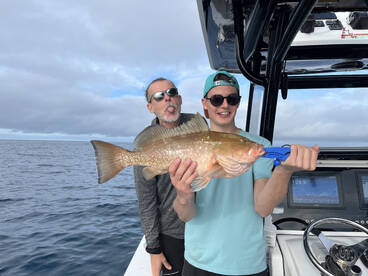 RED GROUPER SEASON NOW OPEN