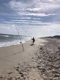 Cocoa Beach Report Photo 2