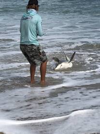 SHARK FISHING FROM THE SHORE!!! HOTTT