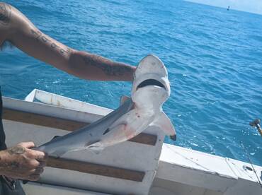 Port Canaveral Report Photo 1