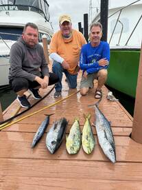 Dania Beach Report Photo 1