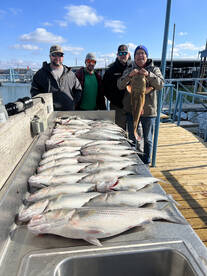 Sunny with a chance of fish! 