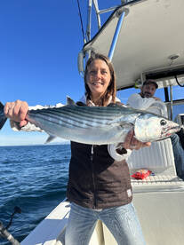 Big local Bonito biting!