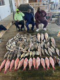 Dynamic Duo limits and limits