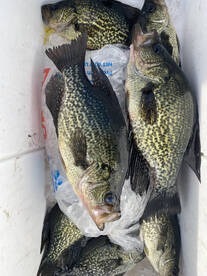 Casselberry Report Photo 2