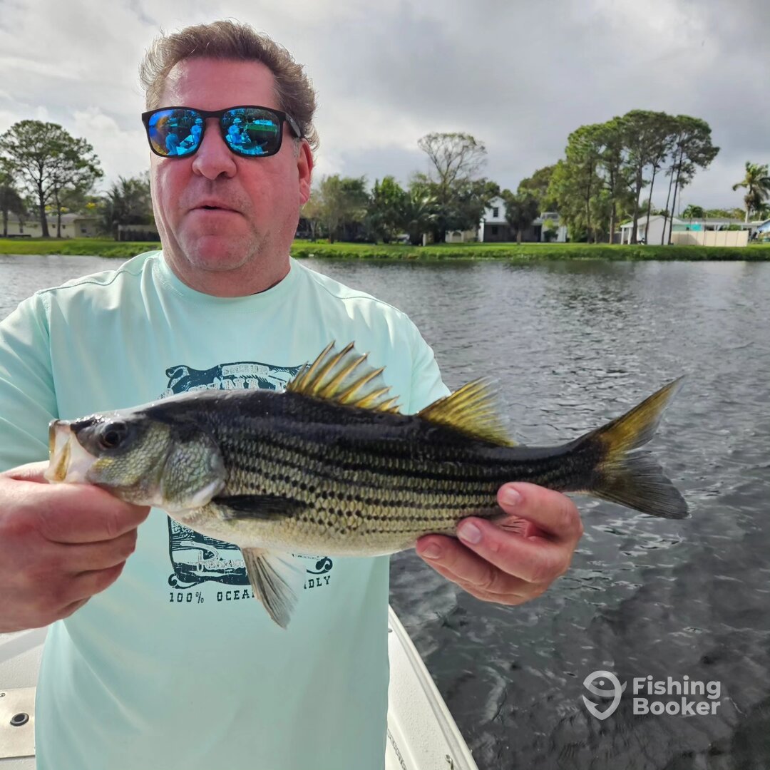 Delray Beach Report Photo 0