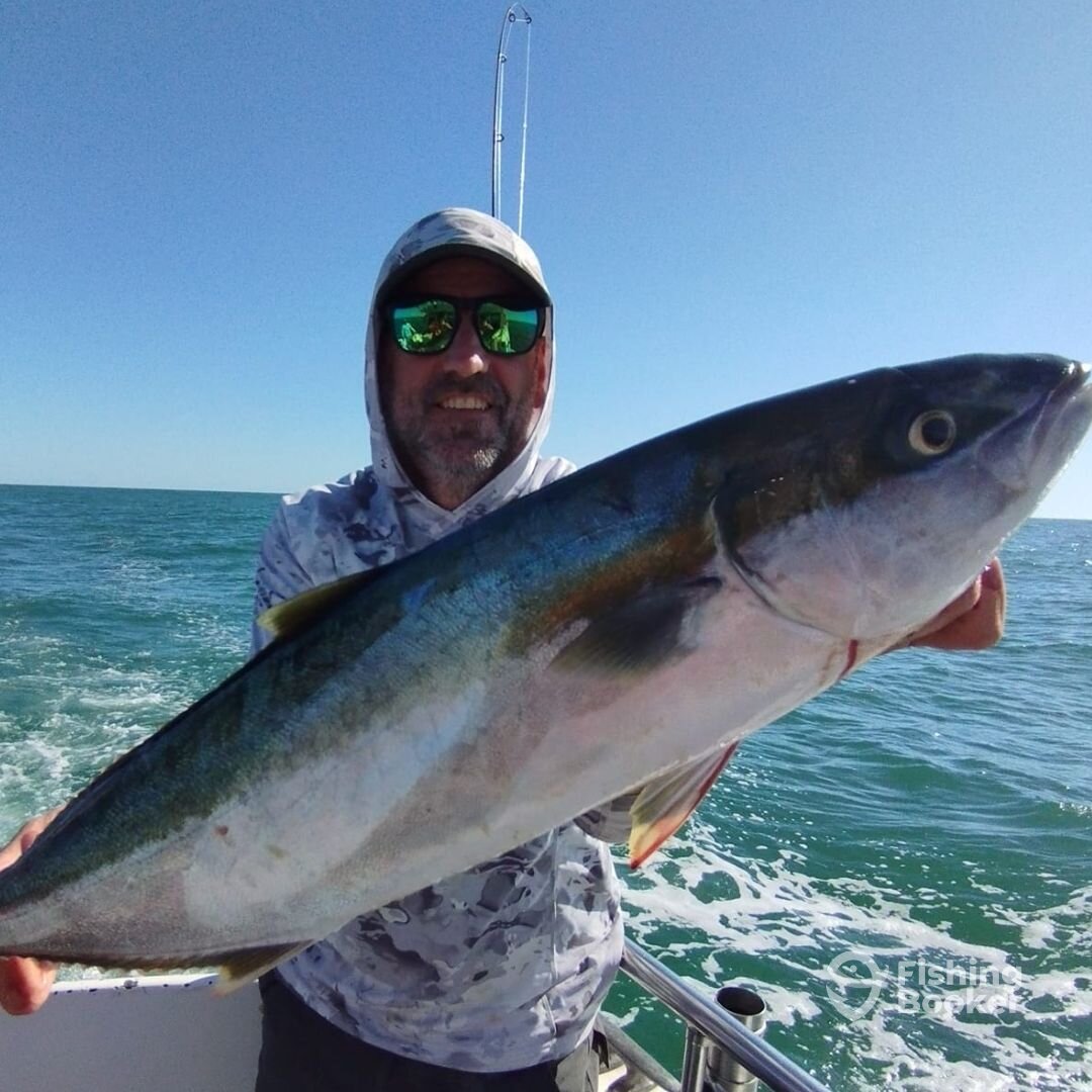 Mar del Plata Report Photo 0