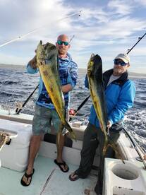 dorado and marlin 