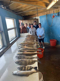 Redfish are fired up