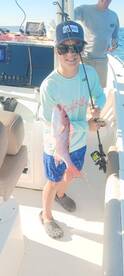 Destin Report Photo 1