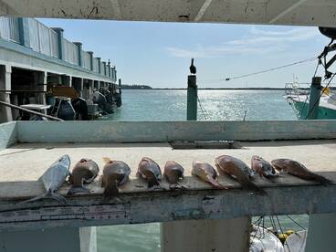 Islamorada Report Photo 2