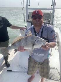 Beauty of a Black Drum