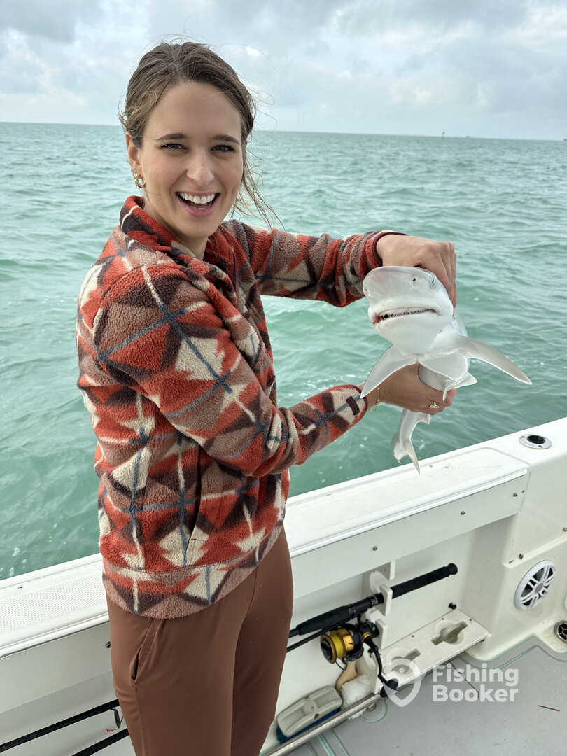 Miami Report Photo 0