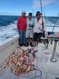 nice catches