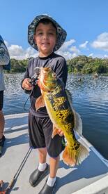 Gamboa Report Photo 2