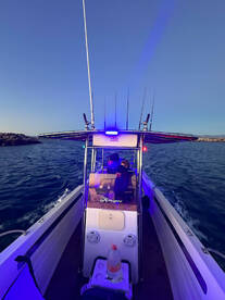 La Ribera Report Photo 2