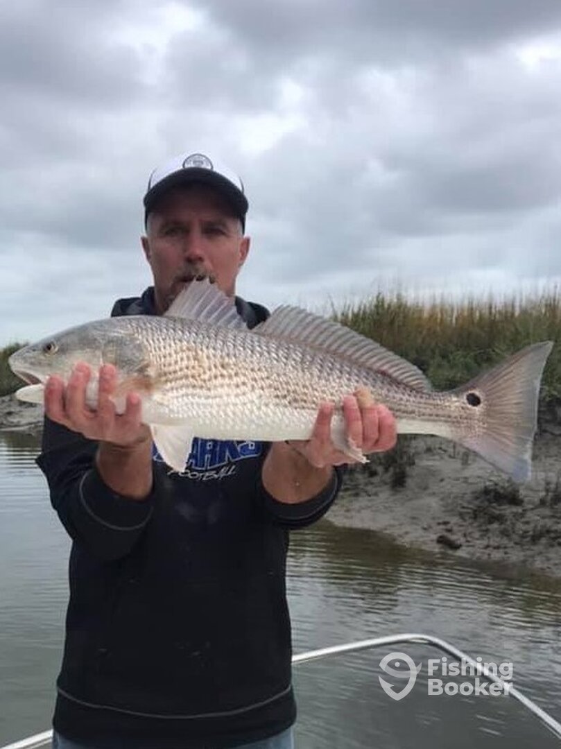 Hilton Head Island Report Photo 0