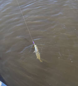 River Road Report Photo 2