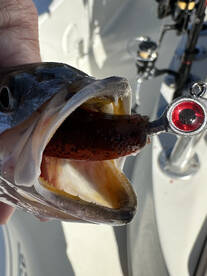 Wintertime Fishing!! 