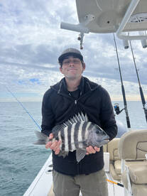 Winter sheepshead 