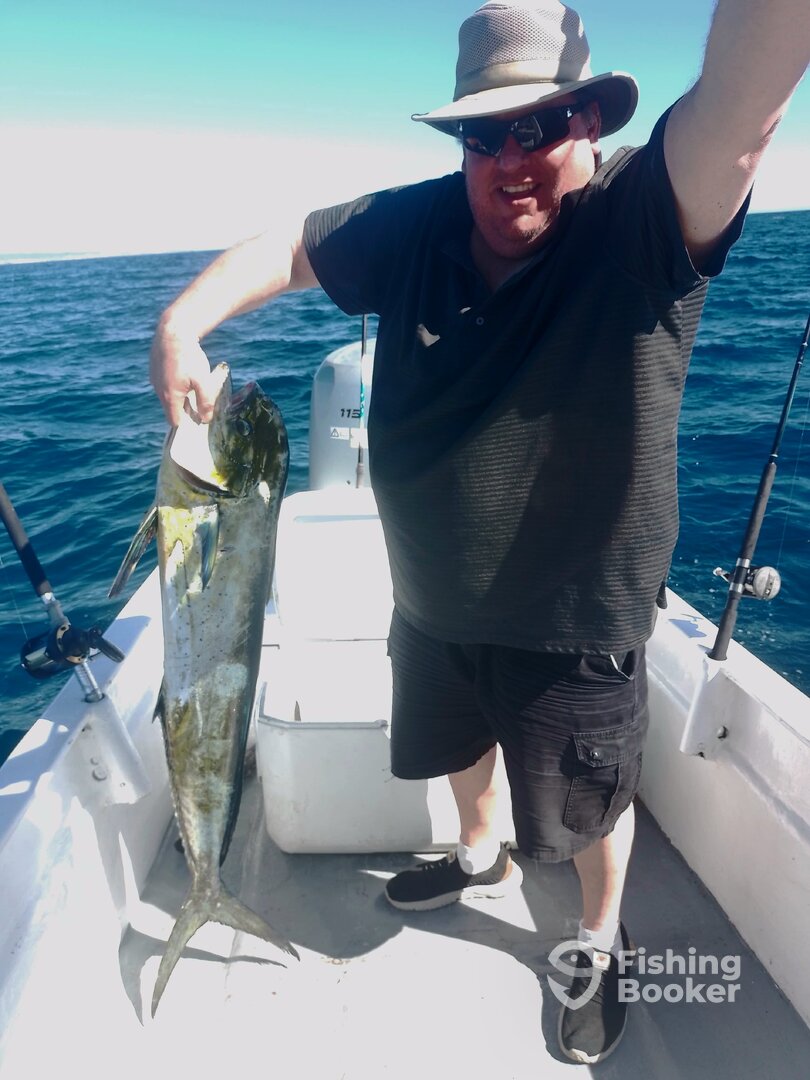 San Jose del Cabo Report Photo 0