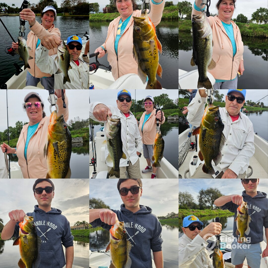 Delray Beach Report Photo 0