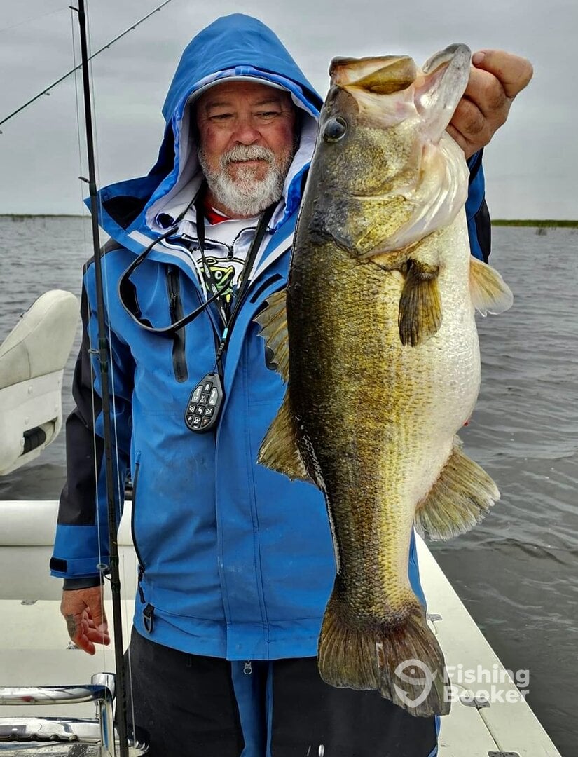 Kissimmee Report Photo 0
