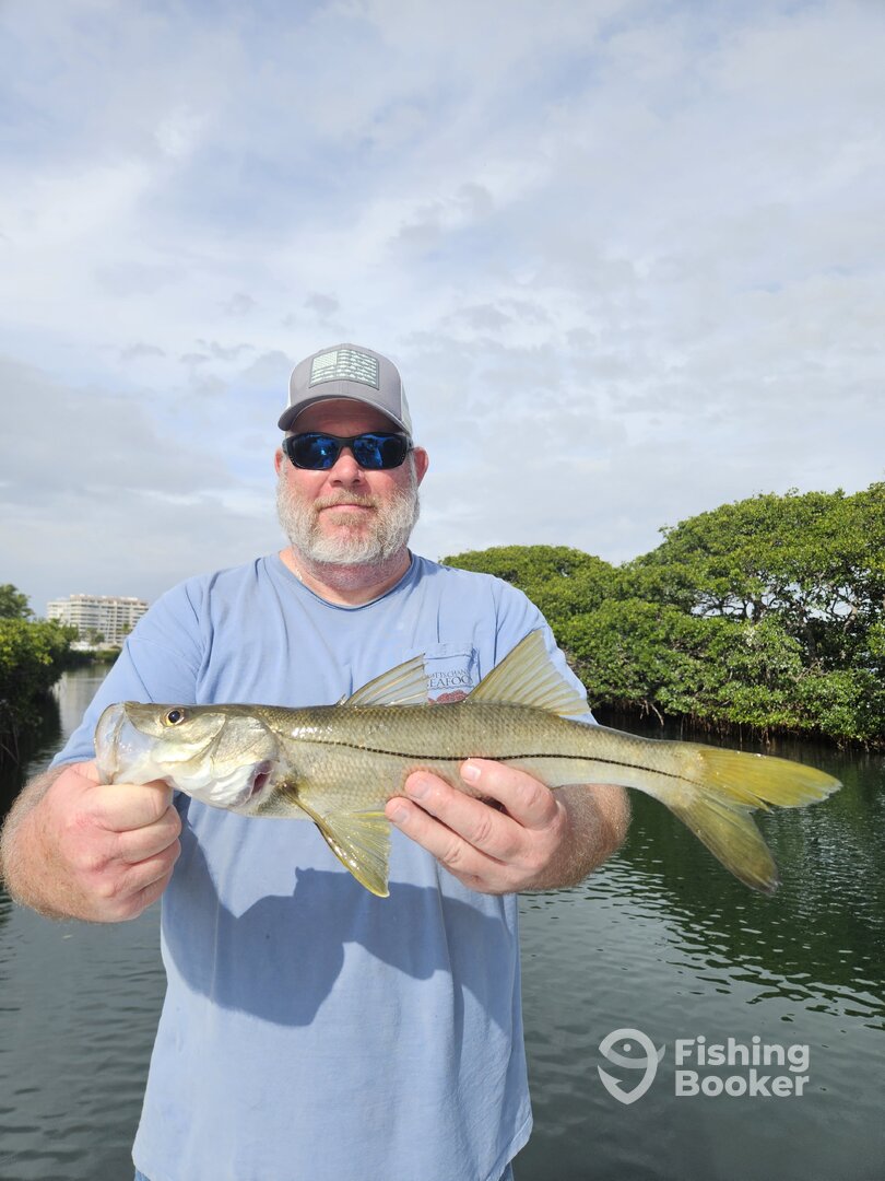 Sarasota Report Photo 0