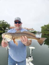 Sarasota Report Photo 1