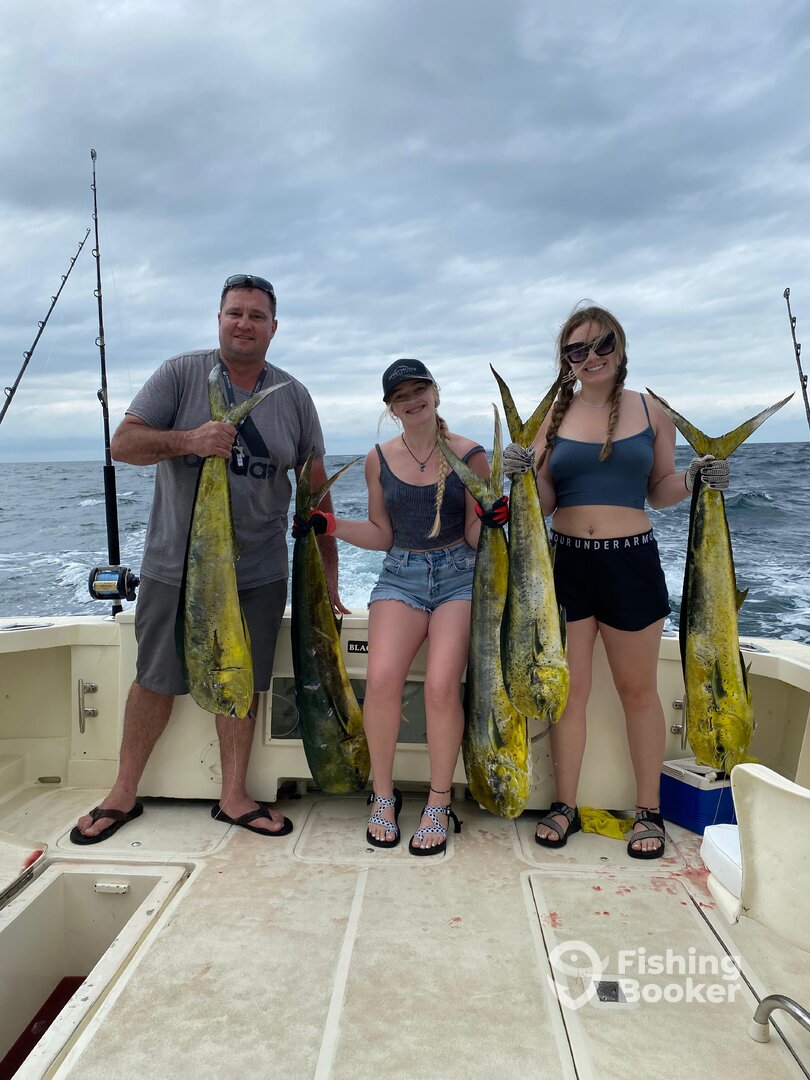 Puerto Vallarta Report Photo 0